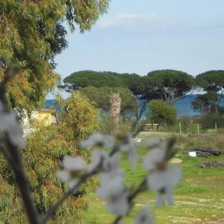 260m Dalla Budoniaffitti * Budoni