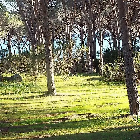 Holiday home 260m Dalla Budoniaffitti Budoni